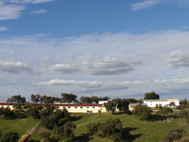 Instalaciones del campamento Overlimit